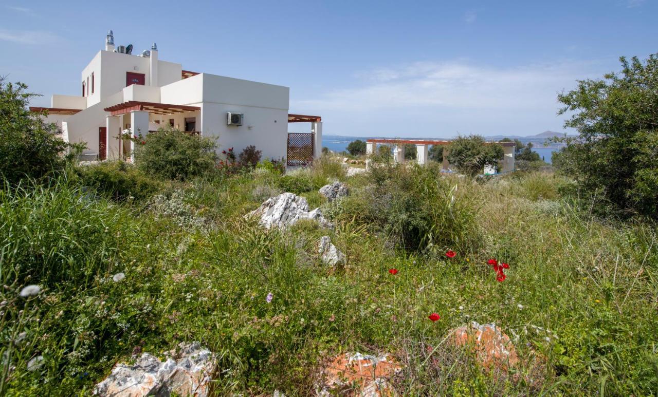 Villa Phenωmena Apartments Kokkino Chorio 외부 사진